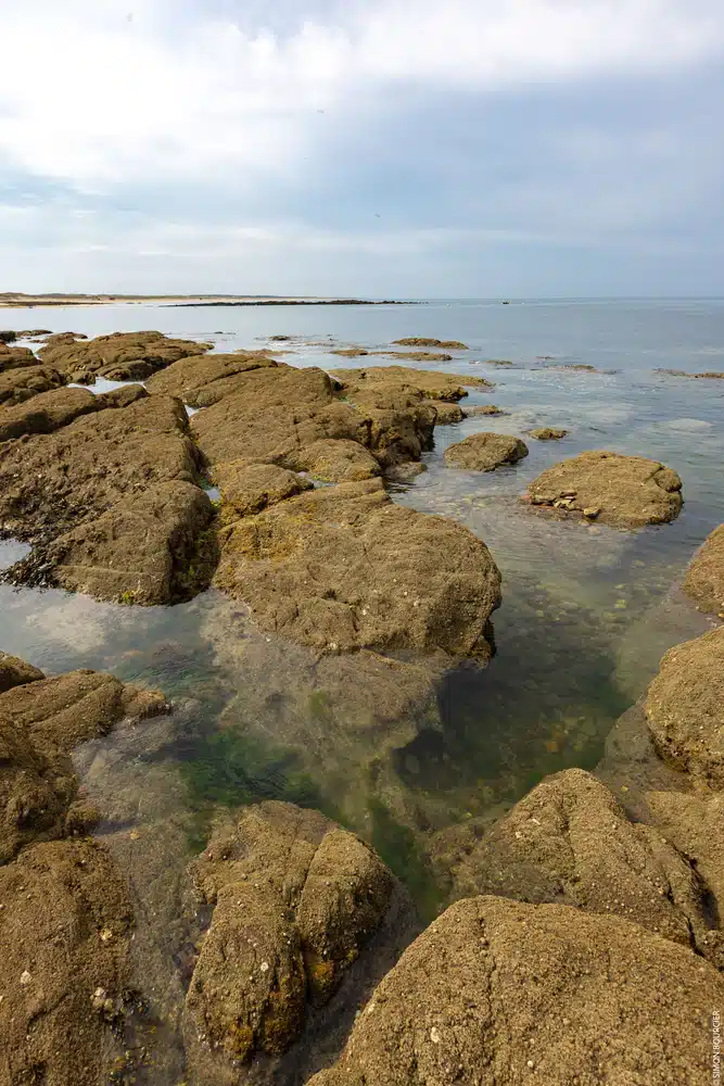 visit to Brétignolles-sur-Mer