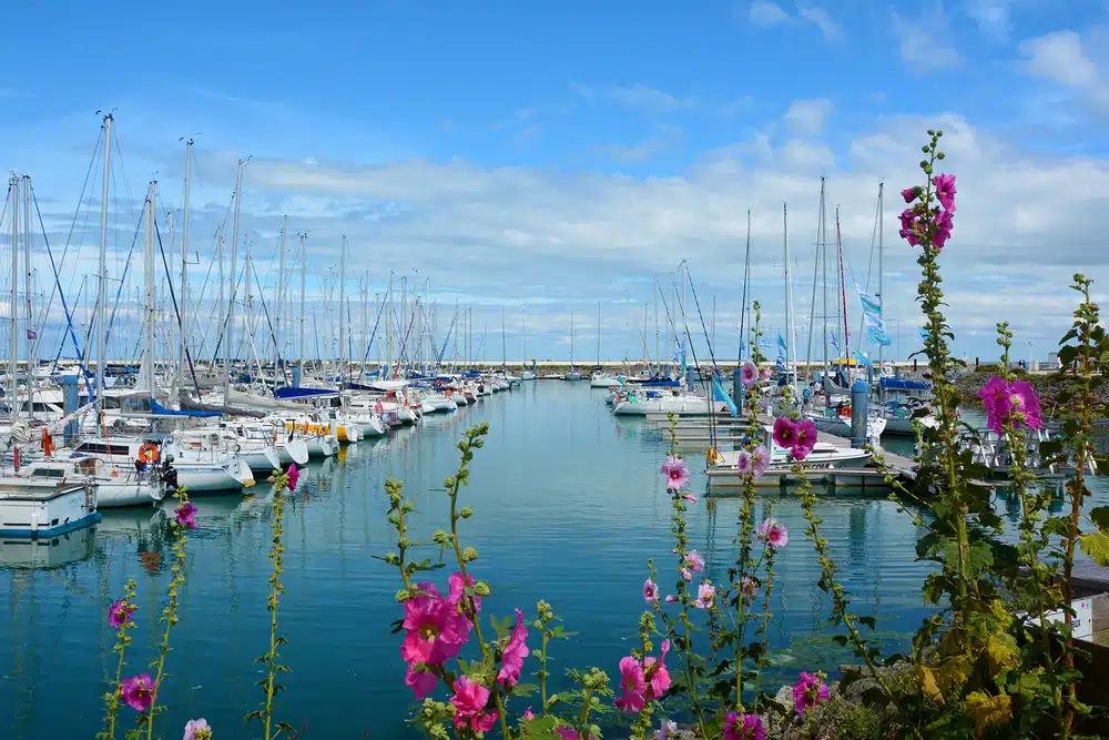 exploring the port of the Île d'Oléron