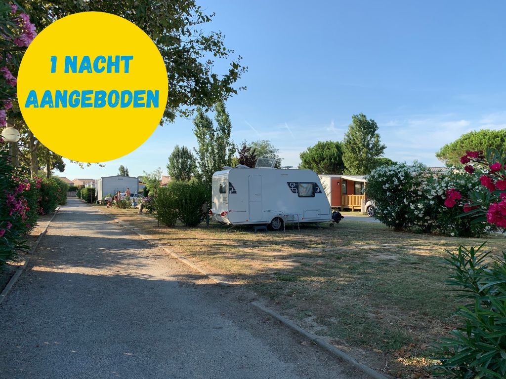 Offres incontournables Chadotel camping le roussillon - Saint Cyprien (15)