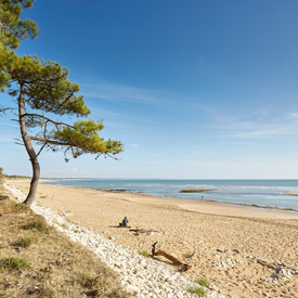 Camping en bord de mer en Vendée