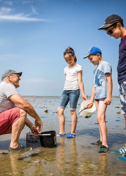 la pêche à pied en bretagne sud