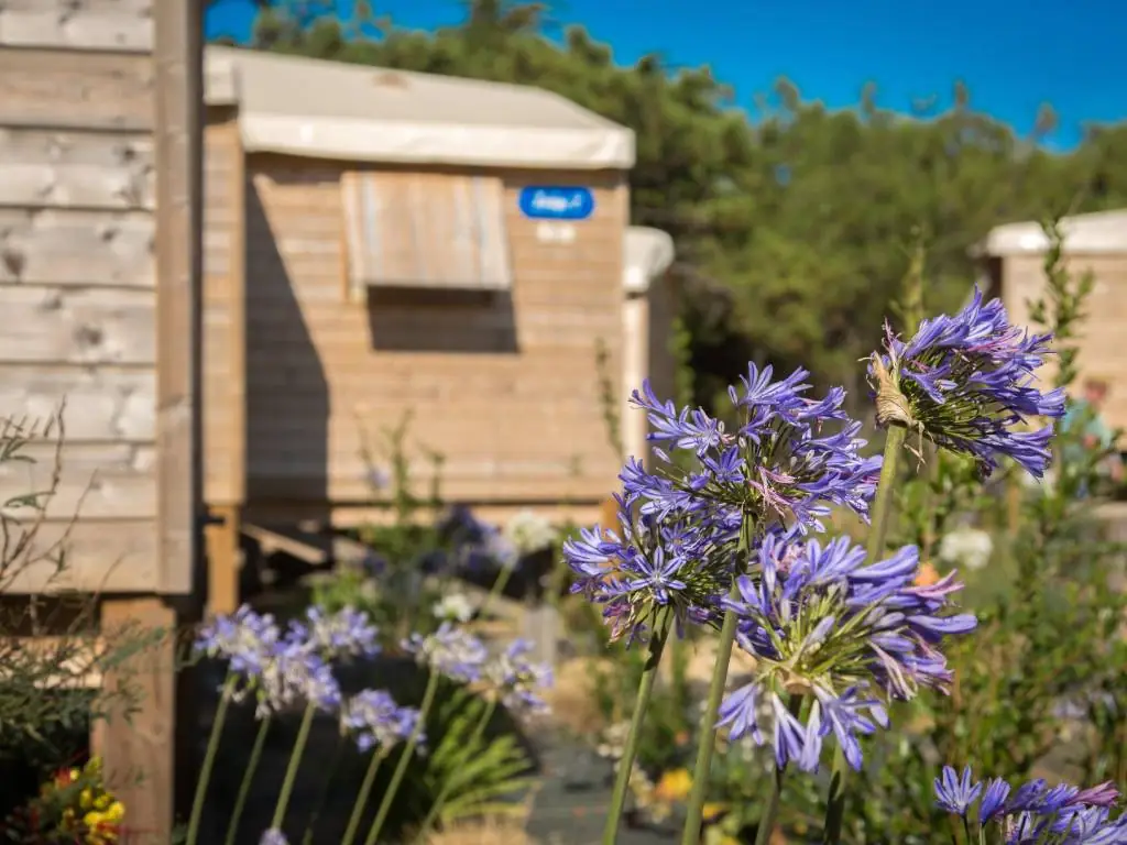 lodges pilotis camping Chadotel La Dune des Sables aux Sables d'Olonne en Vendée