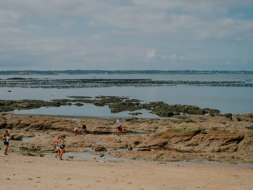 Chadotel Les Iles - Pénestin - Saison 2024 (94)